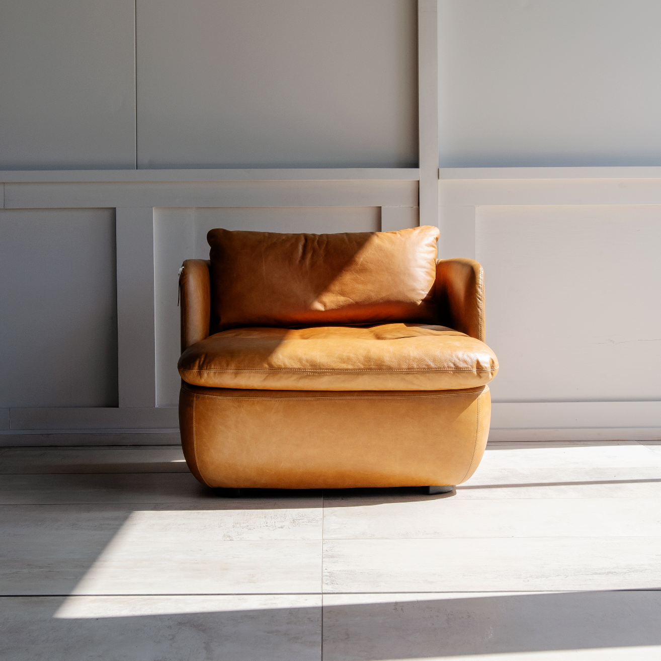 Robin Leather Arm Chair